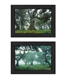 "Enchanted Forest Collection" 2-Piece Vignette By Martin Podt, Ready to Hang Framed Print, Black Frame
