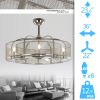 36 in. 24W LED light bulb ceiling fan with stainess net frame