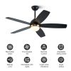 52 Inch Black Ceiling Fan with Lights