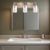 Vanity Bathroom Light Fixture Brushed Nickel 3 Lights Rustic Wall Sconce Lighting with Clear Glass Shade